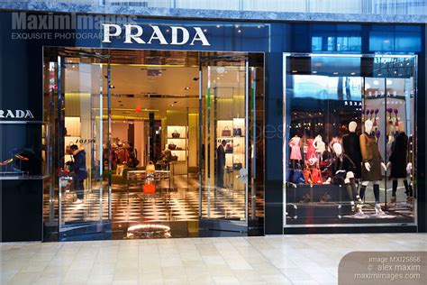 prada canada online store.